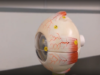 Eye Anatomy