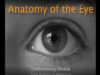 Eye anatomy – American Academy of Ophthalmology
