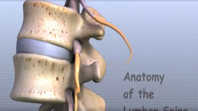 Lumbar Spine Anatomy
