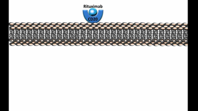 Rituximab – Mechanism of Action