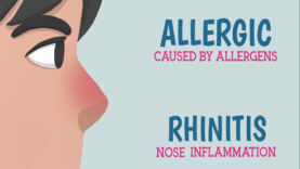 What is Allergic Rhinitis