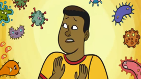 Why is it so hard to cure the common cold