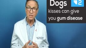 10 Things You Probably Didn t Know About Periodontal Disease