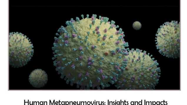 HMPV Virus Symptoms Treatment And Prevention-7