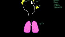 Pulmonary abscess Respiratory system disease