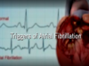 Triggers for Atrial Fibrillation