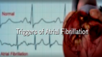 Triggers for Atrial Fibrillation