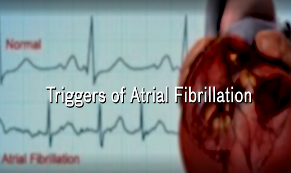 Triggers for Atrial Fibrillation