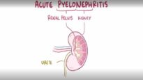 Acute pyelonephritis urinary tract infection causes, symptom