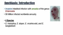 Amebiasis Amoebic Dysentery Entamoeba histolytica