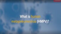 Hmpv – Metapneumovirus Symptoms, Transmission And Treatment Options