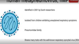 Hmpv virus prevention
