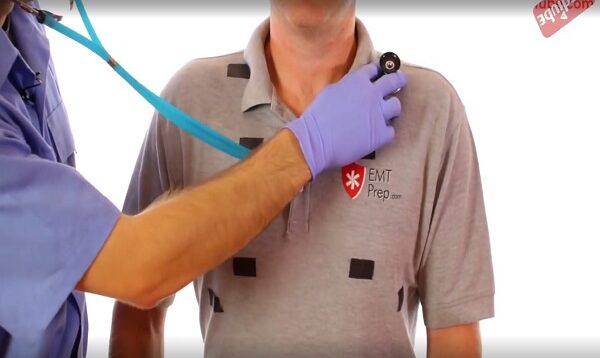 How to auscultate lung sounds