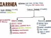 WHAT IS DIARRHEA Diarrhea Causes, Organic vs Functional Diarrh