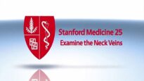 Examination of the Neck Veins