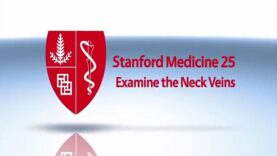 Examination of the Neck Veins
