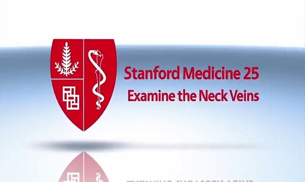 Examination of the Neck Veins