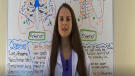 Lung Auscultation Landmarks, Sounds, Placement Nursing Assessi