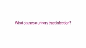 What Can I Do About a Urinary Tract Infection