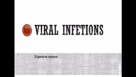 GI infections viral
