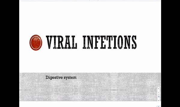 GI infections viral