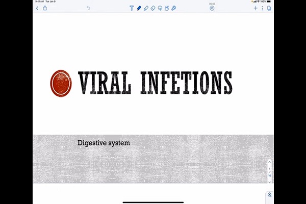 GI infections viral