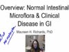 Microbiota and Diseases of the Gastrointestinal tract