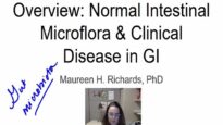 Microbiota and Diseases of the Gastrointestinal tract