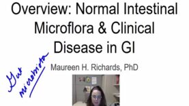 Microbiota and Diseases of the Gastrointestinal tract