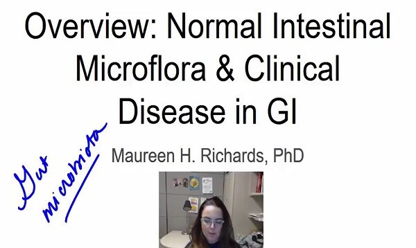 Microbiota and Diseases of the Gastrointestinal tract