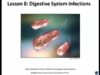 Pathogens-Digestive System Infections