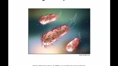 Pathogens-Digestive System Infections