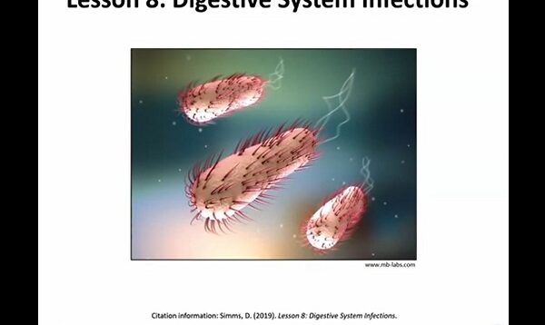 Pathogens-Digestive System Infections