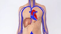 Testing the Hepatojugular Reflux – Clinical Examination