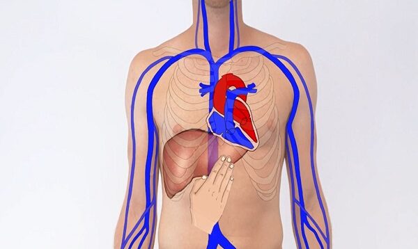 Testing the Hepatojugular Reflux – Clinical Examination