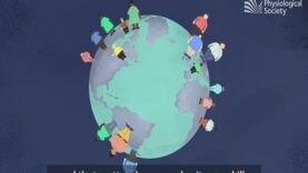 The genetic basis of obesity