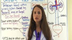 Urinary Tract Infection-Symptoms Treatment Cystitis