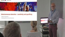 Galactomannan testing or disseminated Aspergillus Talaromyces Histoplasma