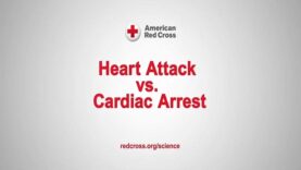 Signs Symptoms Cardiac Arrest vs Heart Attack