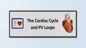 The Cardiac Cycle and PV Loops