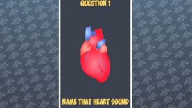 Name that heart sound quiz ! Can You Identify All 9