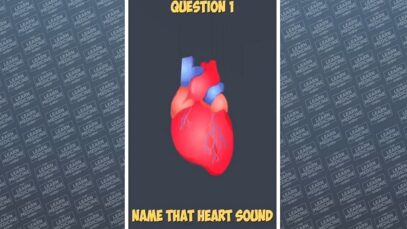 Name that heart sound quiz ! Can You Identify All 9