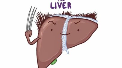 Anatomy of the abdominal viscera Liver, biliary ducts and gallbladder