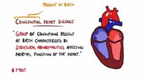 Congenital Heart Malformations Made Easy (8 Main Types)