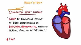Congenital Heart Malformations Made Easy (8 Main Types)