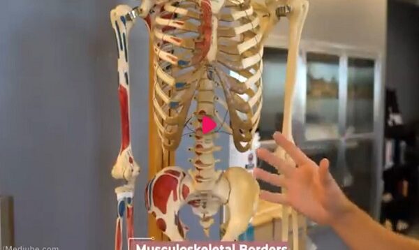 Anatomy Masterclass_ The Abdominal Cavity