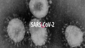 COVID-19 Animation_ What Happens If You Get Coronavirus_