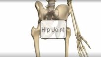 Hip Joint – 3D Anatomy Tutorial