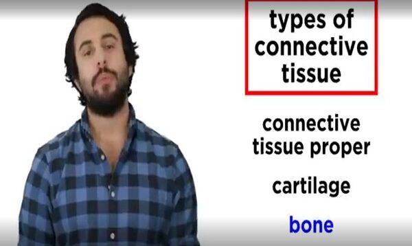 Bones Structure and Types