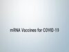 COVID-19 mRNA Vaccine Will It Change My DNA